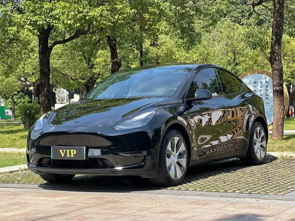 Tesla Model Y Long Range AWD 2022