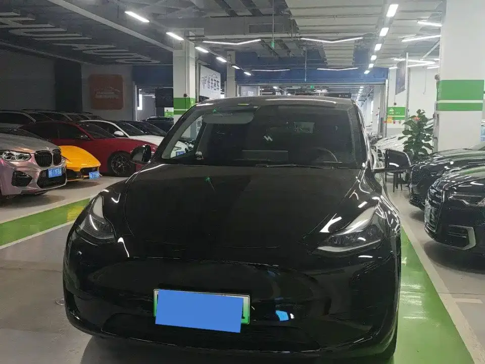 Tesla Model Y Rear-Wheel Drive Version 2022