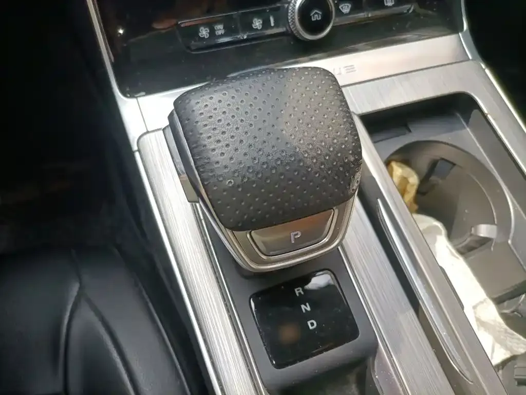 Roewe RX5 New Energy ePLUS Guochao Ronglin Luxury Edition 2020 — фото 7