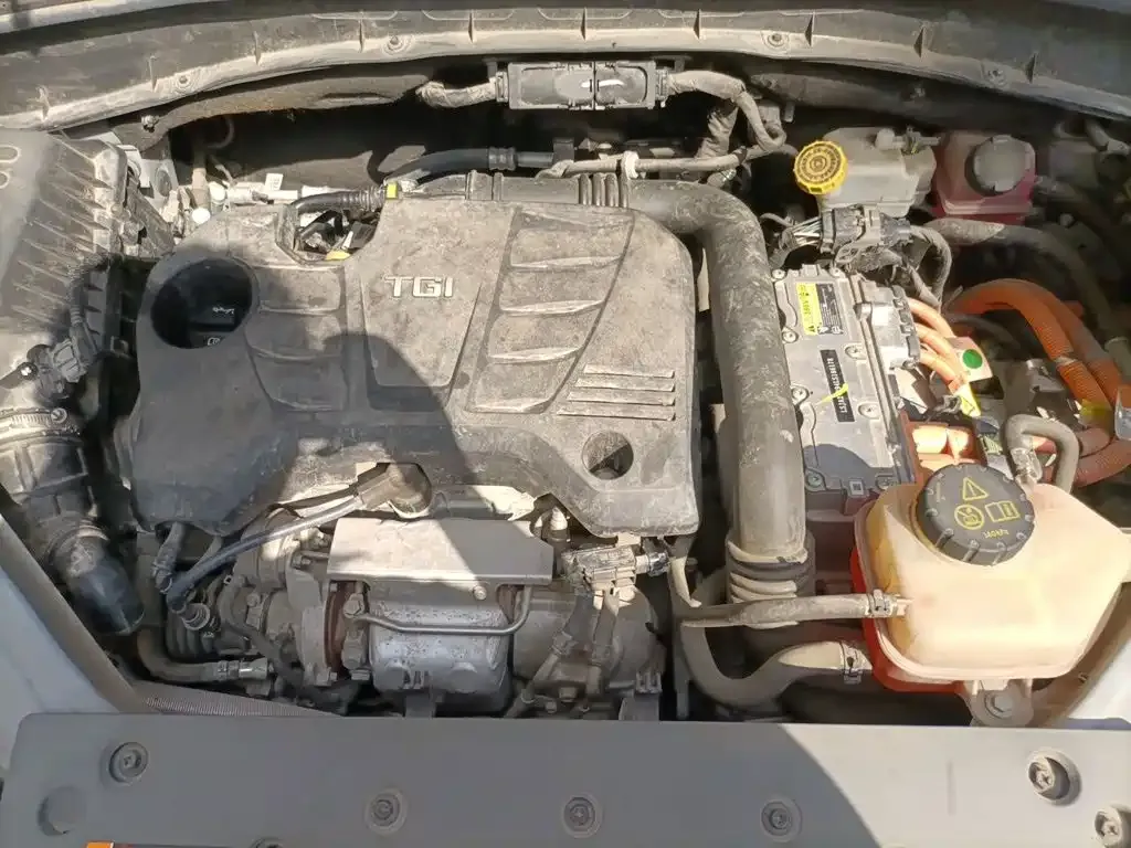 Roewe RX5 New Energy ePLUS Guochao Ronglin Luxury Edition 2020 — фото 11