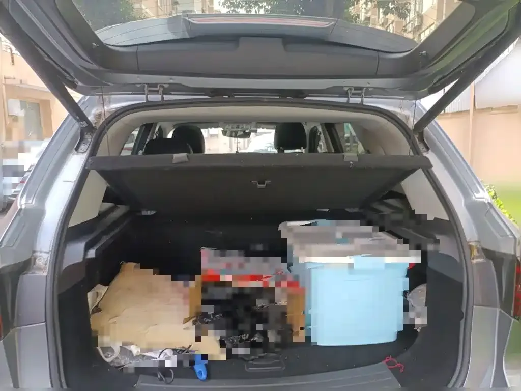 Roewe RX5 New Energy ePLUS Guochao Ronglin Luxury Edition 2020 — фото 10