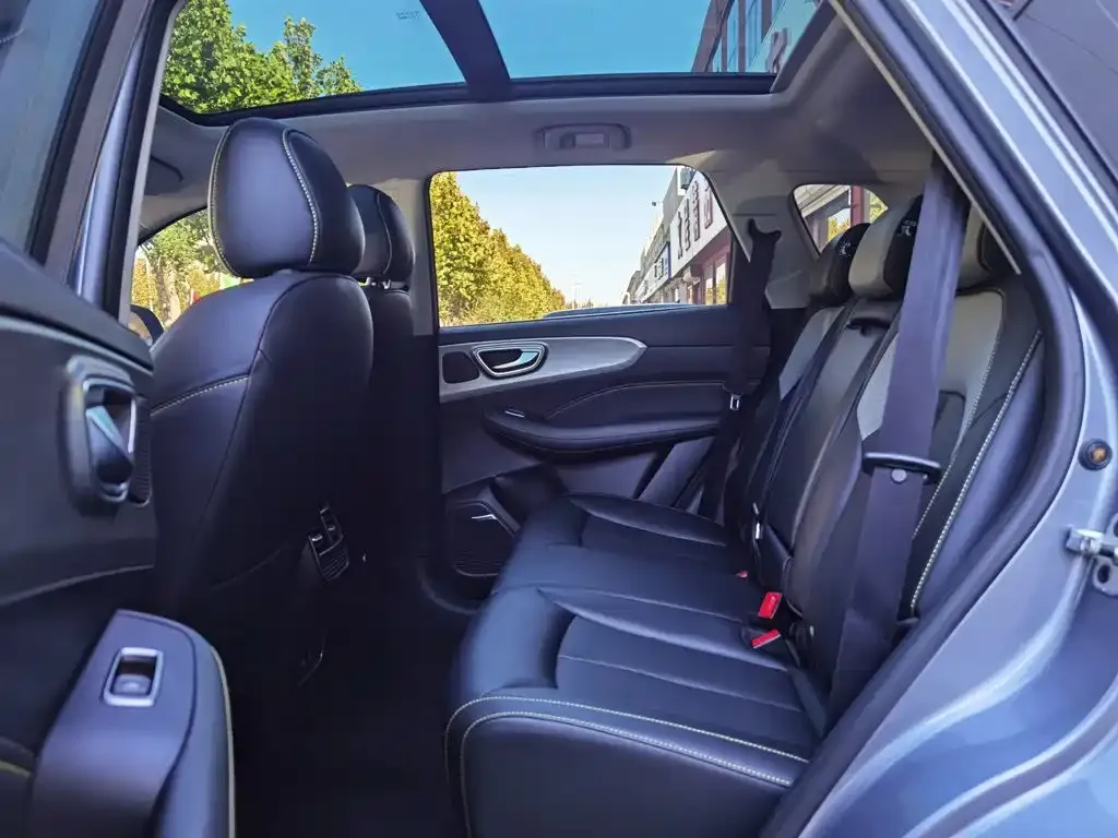 Roewe RX5 New Energy ePLUS Guochao Ronglin Luxury Edition 2020 — фото 13