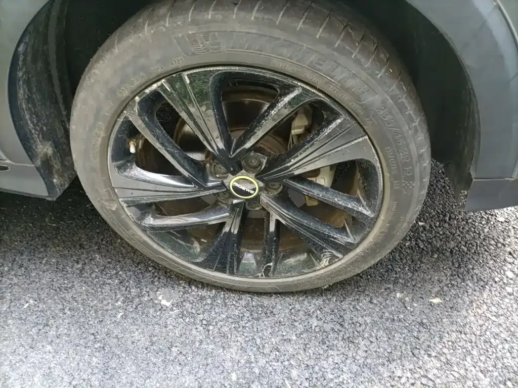 Roewe RX5 New Energy ePLUS Guochao Ronglin Luxury Edition 2020 — фото 24