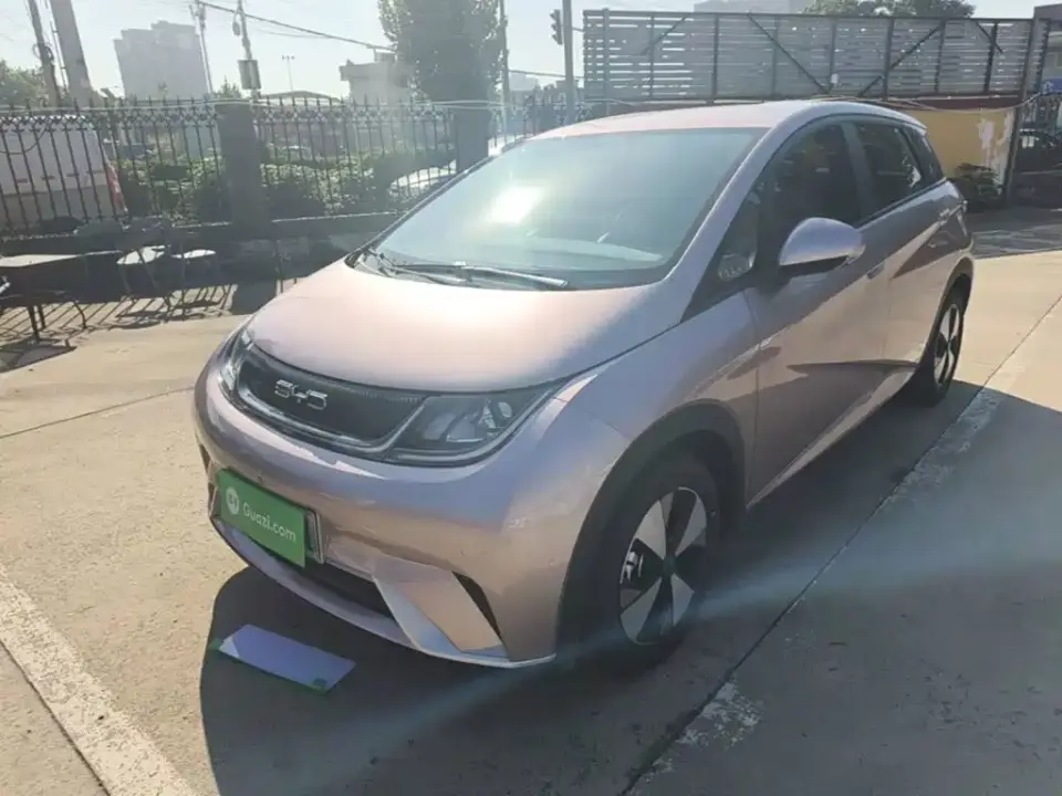 BYD Dolphin 420km Freedom Edition 2024