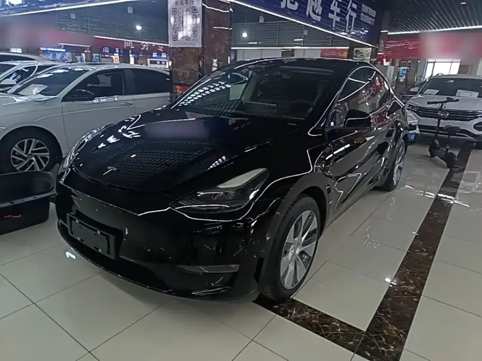Tesla Model Y Standard Range Rear-Wheel Drive 2021
