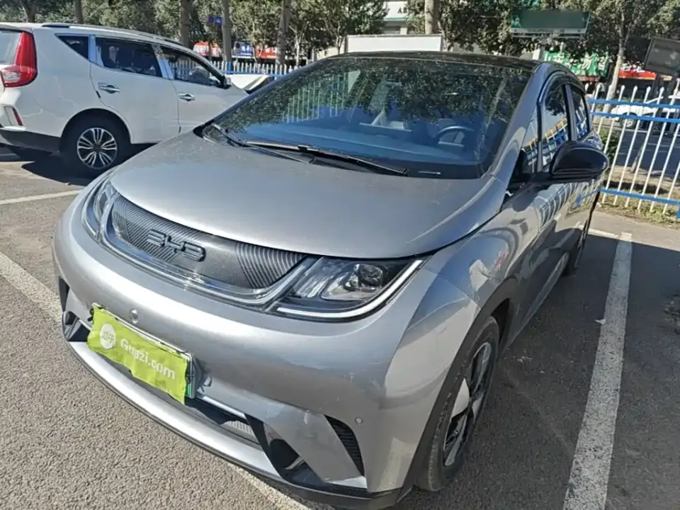 BYD Dolphin 420km Fashion Edition 2024