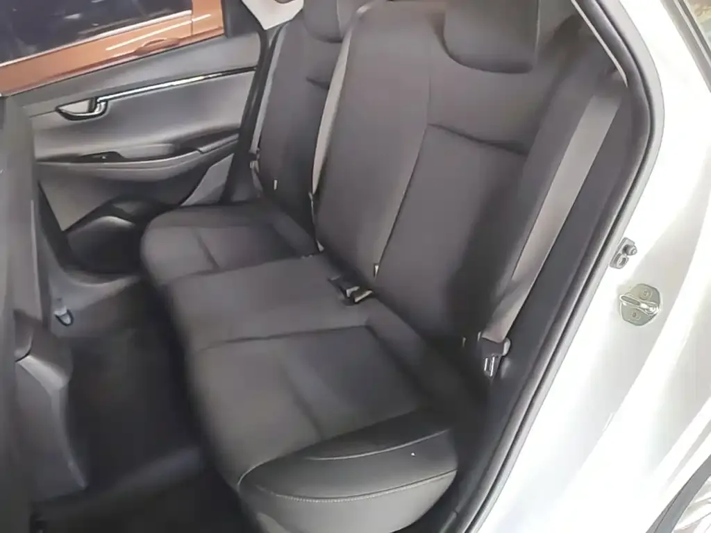 Hyundai Elantra 1.6L Automatic Pleasing Edition GL China VI 2019 — фото 17