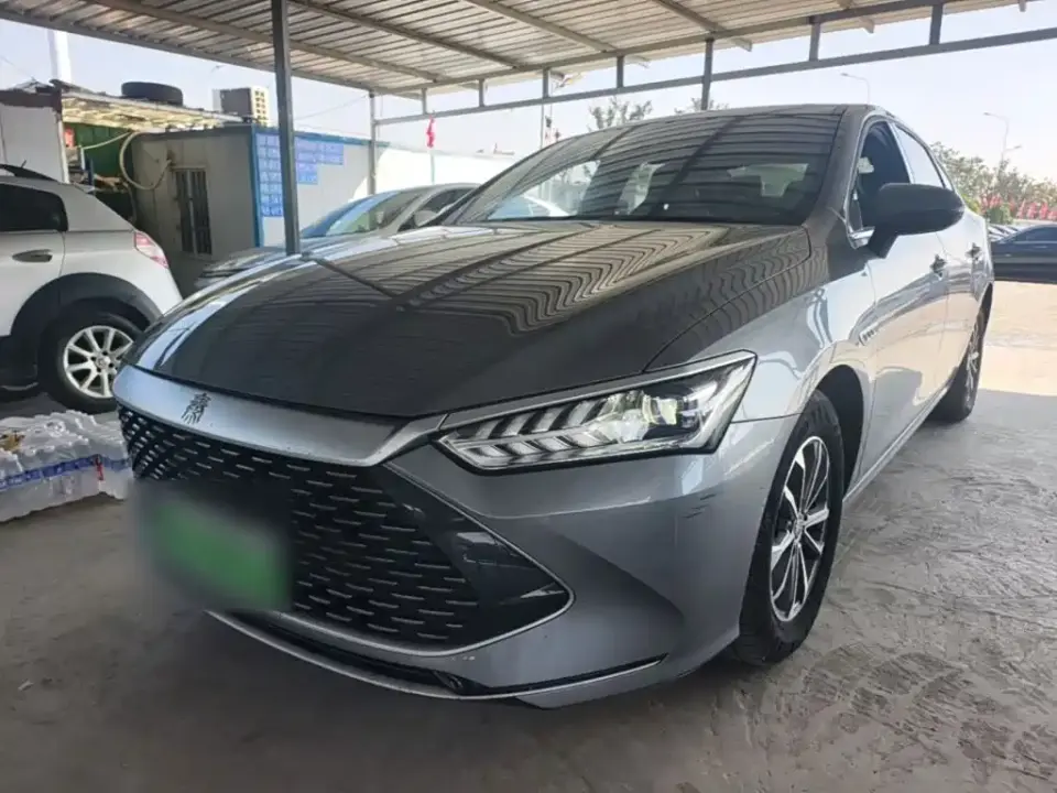 BYD Qin PLUS Glory Edition DM-i 55KM Leading 2024