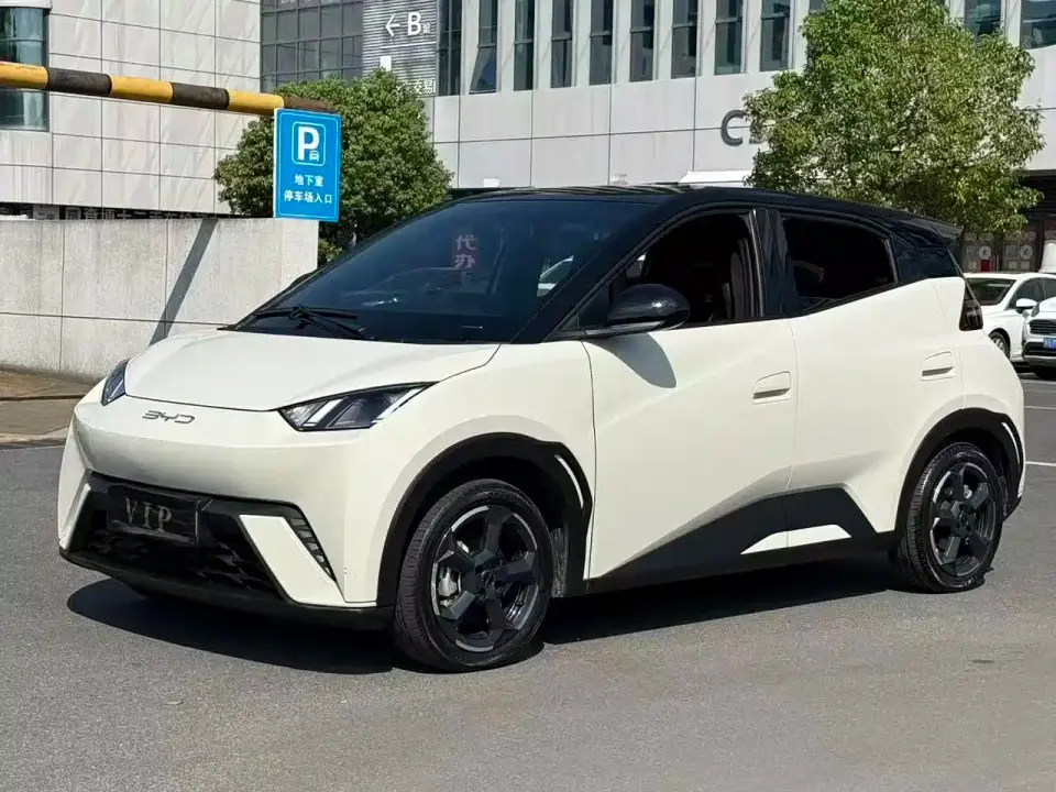 BYD Seagull Flying Edition 2024