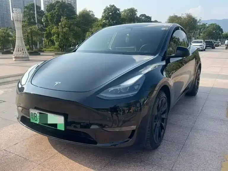 Tesla Model Y Standard Range Rear-Wheel Drive 2021