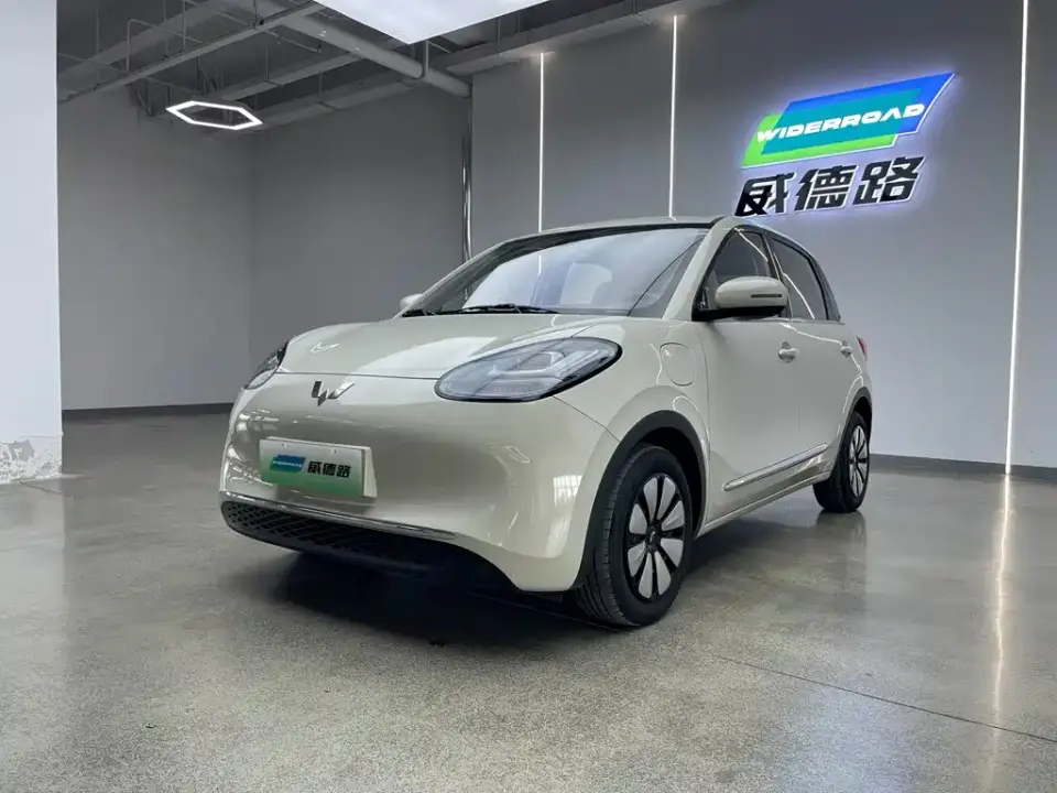 Wuling Motors Wuling Bingo 333km Comfort Edition 2024