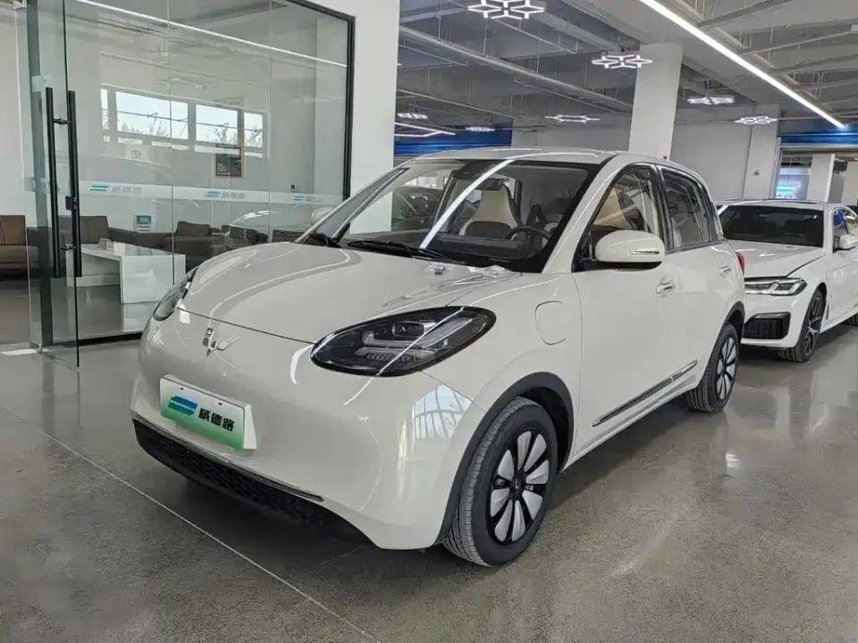 Wuling Motors Wuling Bingo 333km Comfort Edition 2024