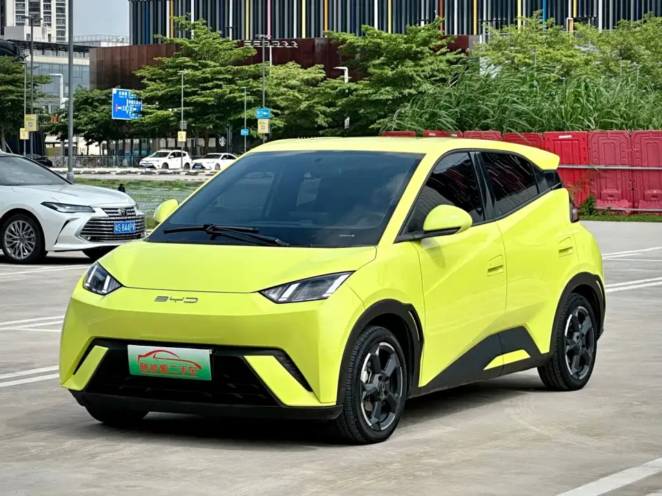 BYD Seagull Glory Edition 405km Soaring Edition 2024