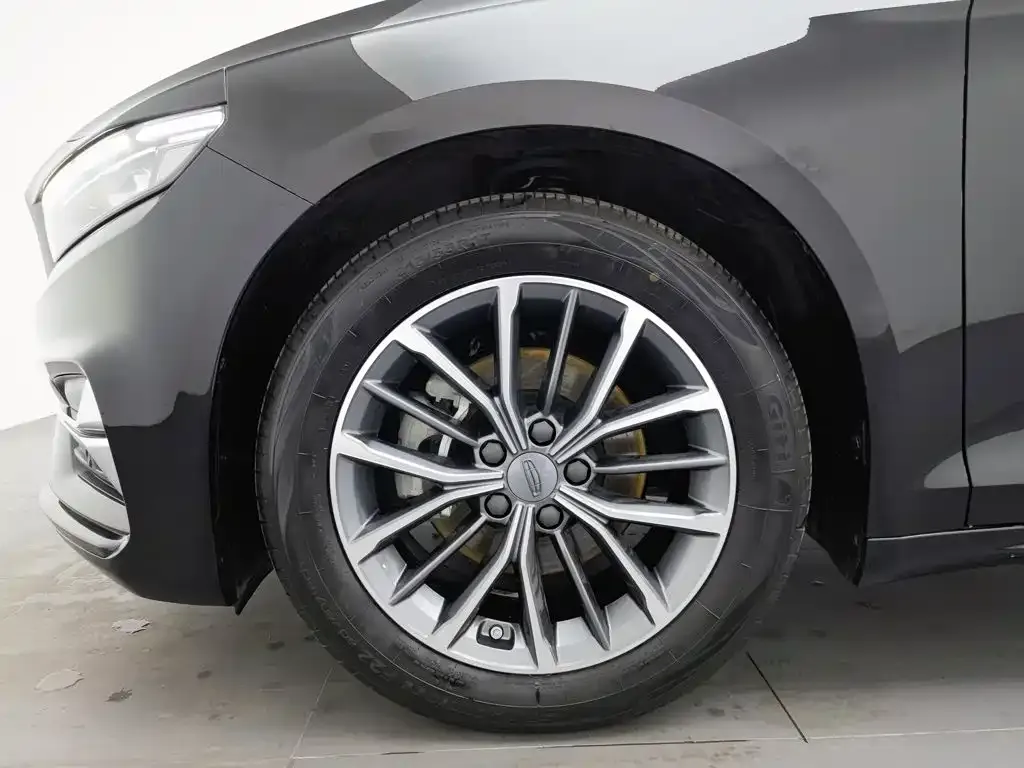 Geely Xing Rui 1.5TD Soaring Edition 2024 — фото 17