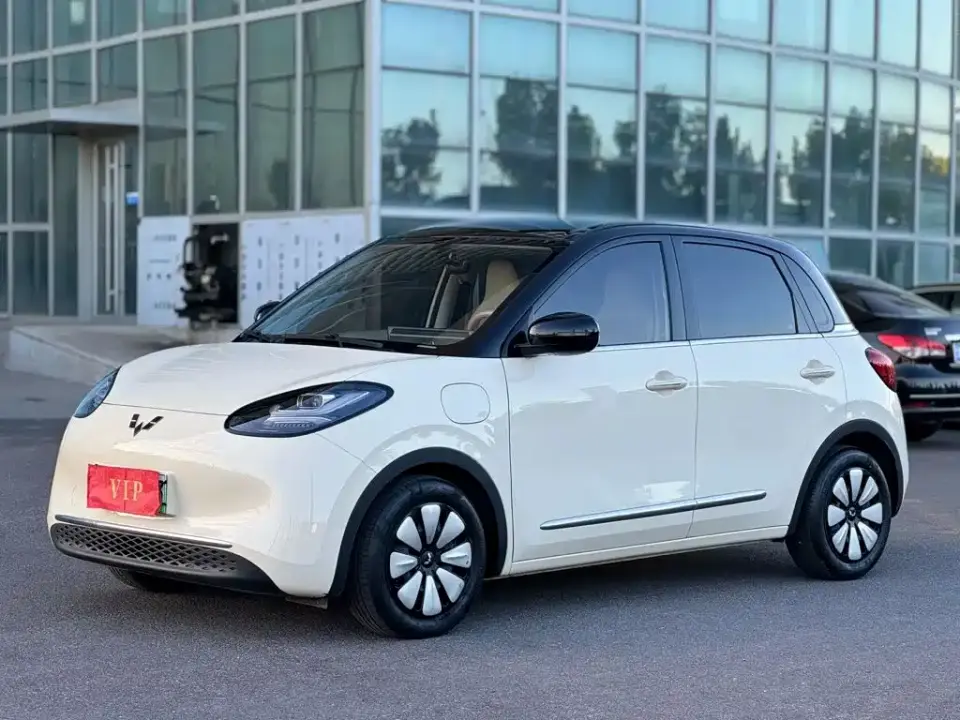 Wuling Motors Wuling Bingo 333km Comfort Edition 2025