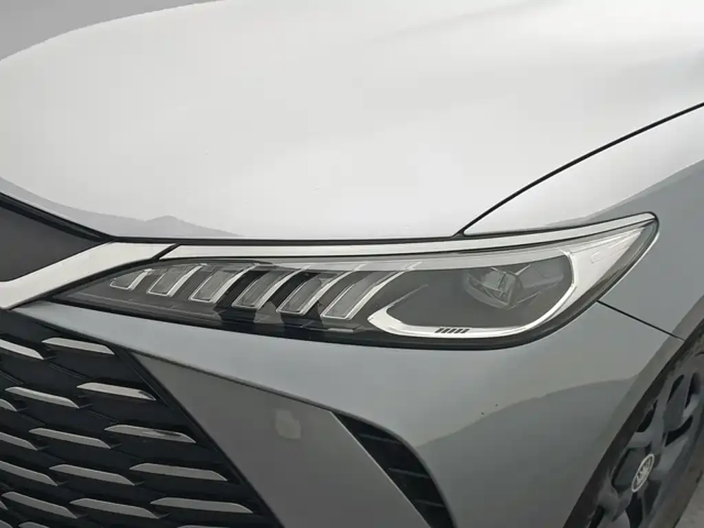 BYD Qin PLUS DM-i Smart Drive 55KM Leader 2025 — фото 12