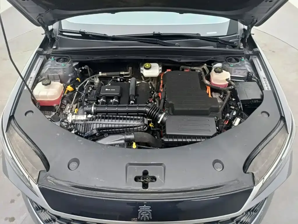 BYD Qin PLUS DM-i Smart Drive 55KM Leader 2025 — фото 10
