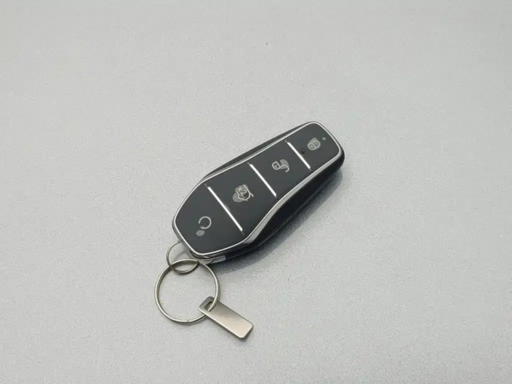 BYD Qin PLUS DM-i Smart Drive 55KM Leader 2025 — фото 8