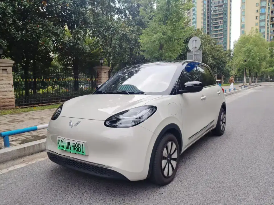 Wuling Motors Wuling Bingo 333km Comfort Edition 2024