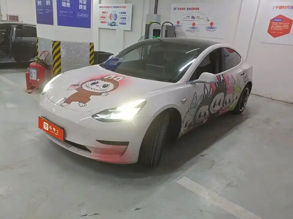 Tesla Model 3 Standard Range Rear-Wheel Drive Upgrade 2020
