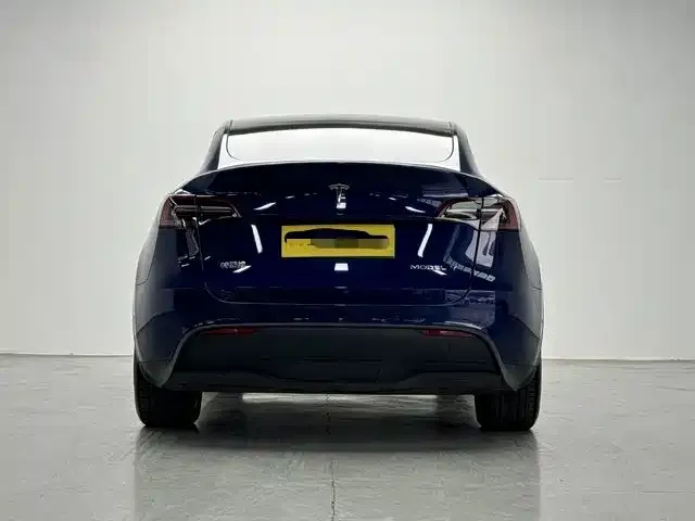 Tesla Model Y Standard Range Rear-Wheel Drive 2022 — фото 8