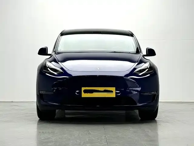 Tesla Model Y Standard Range Rear-Wheel Drive 2022 — фото 2