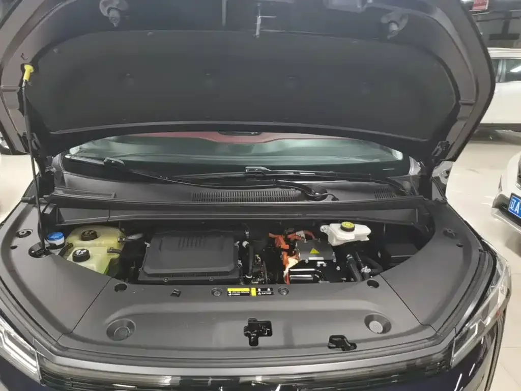GAC Trumpchi E9 E9 PRO 2023 — фото 20