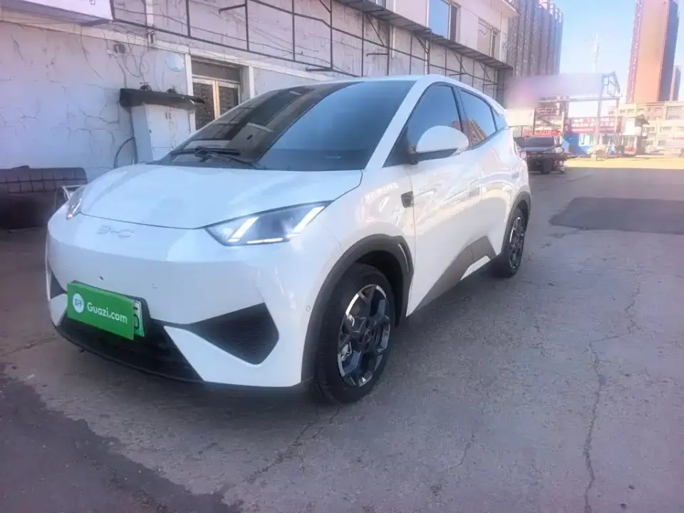 BYD Seagull Smart Drive Edition 305km Freedom Version 2025