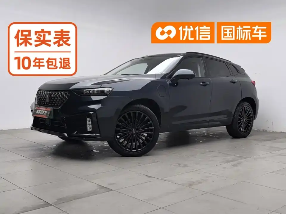 Wey VV7 New Energy PHEV 2.0T Flagship Model 2020