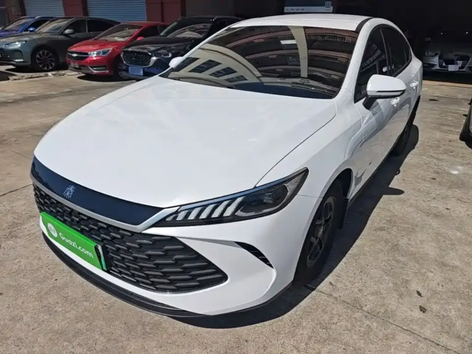 BYD Qin PLUS DM-i Smart Drive 55KM Leader 2025