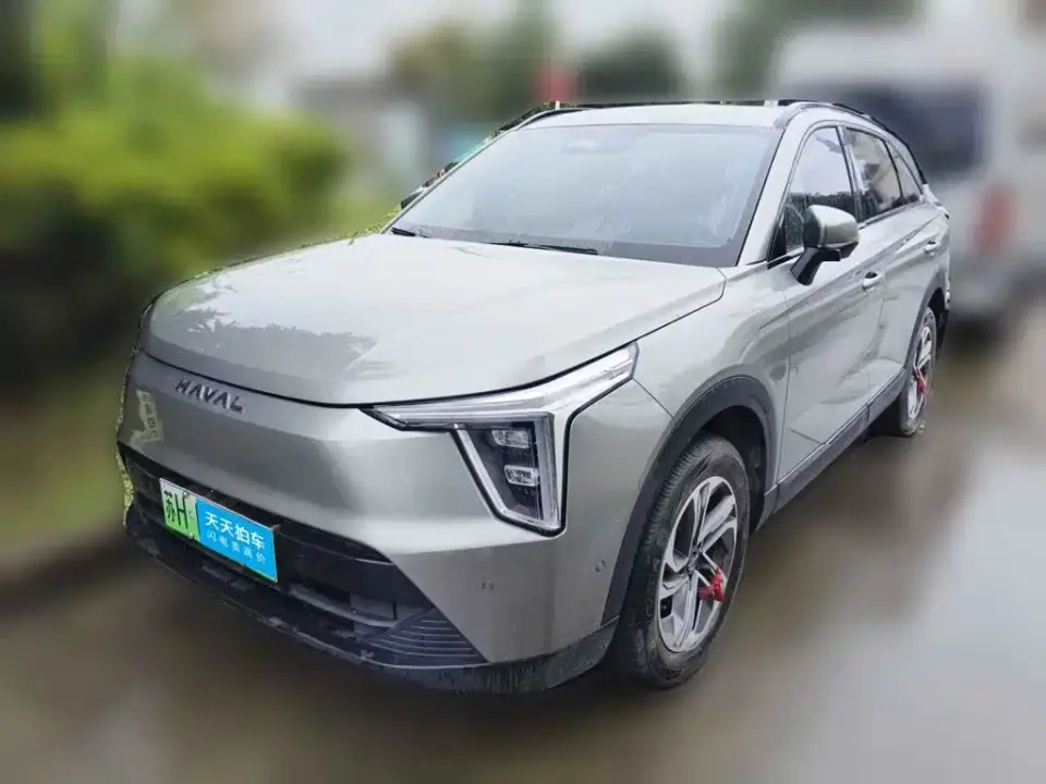 Haval Xiaolong 1.5L 110KM Pilot Edition 2024