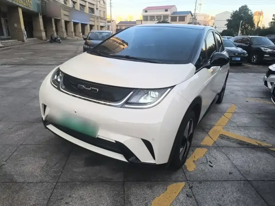 BYD Dolphin 420km Fashion Edition 2023
