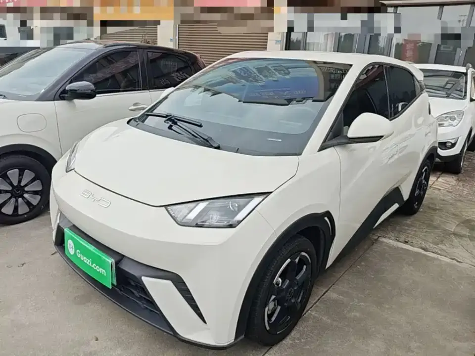 BYD Seagull Freedom Edition 2024