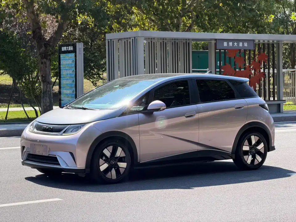 BYD Dolphin 401km Knight Edition 2022