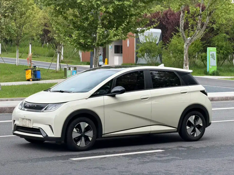 BYD Dolphin Glory Edition 420km Fashion Edition 2024