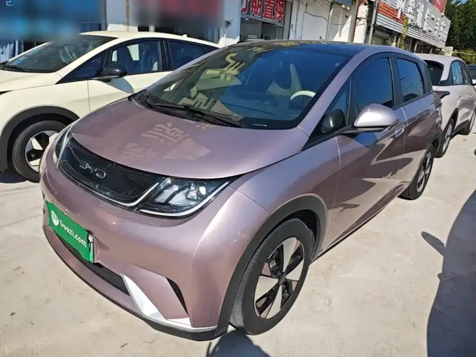 BYD Dolphin 420km Fashion Edition 2023