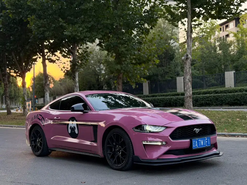 Ford Mustang 2.3L EcoBoost 2020