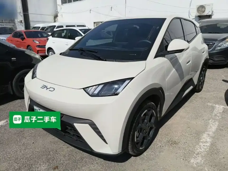 BYD Seagull 305km Freedom 2025