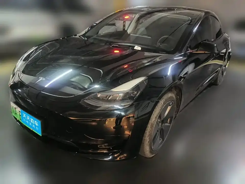Tesla Model 3 Model Rear-Wheel Drive Version 2023