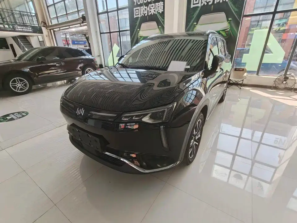 Weltmeister W6 520km PRO All-round Edition 2021