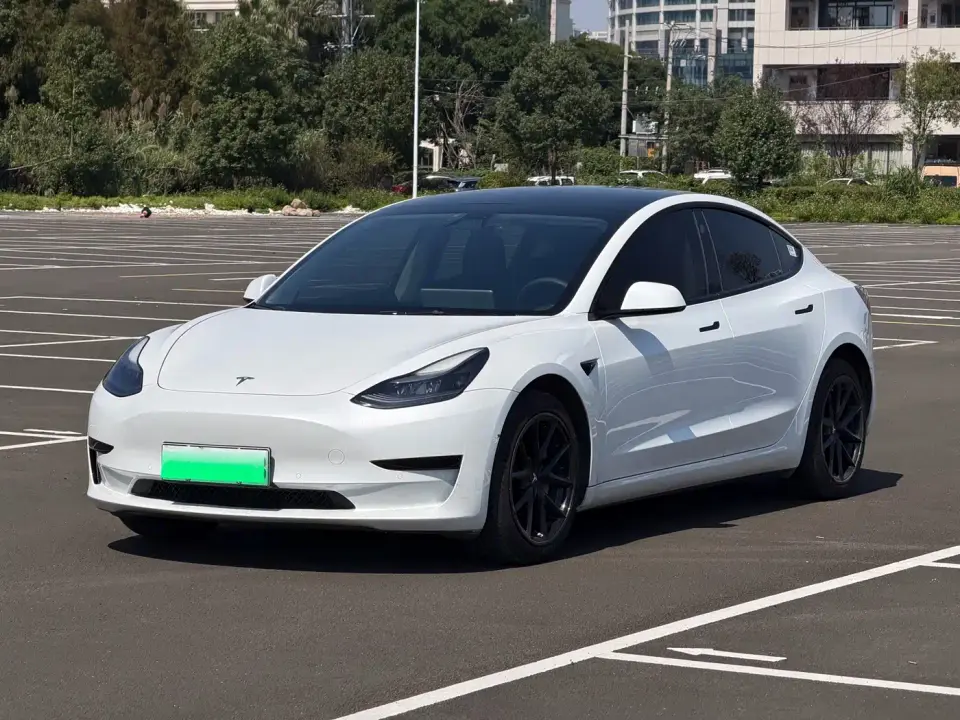 Tesla Model 3 Standard Range Rear-Wheel Drive Upgrade 3D6 2022