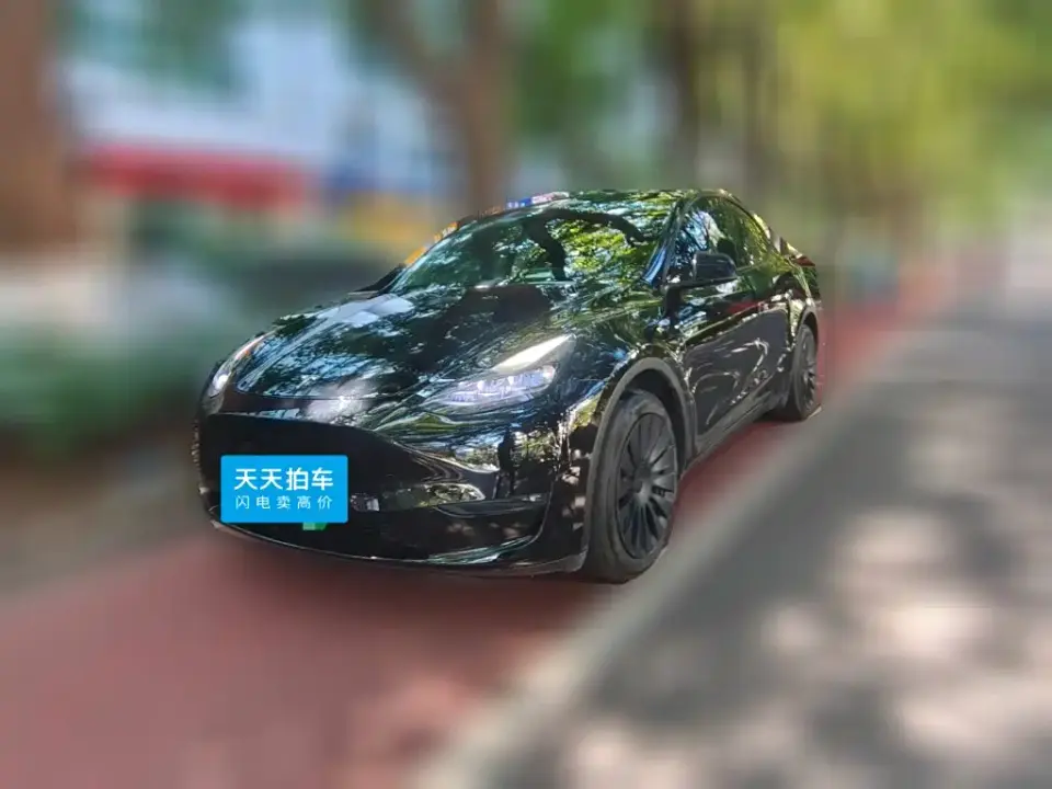 Tesla Model Y Long Range All-Wheel Drive 3D7 2021