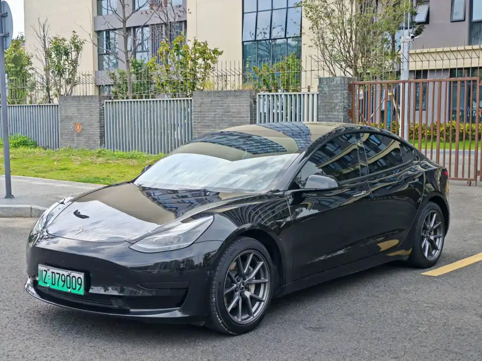 Tesla Model 3 Standard Range Rear-Wheel Drive Upgrade 3D6 2021