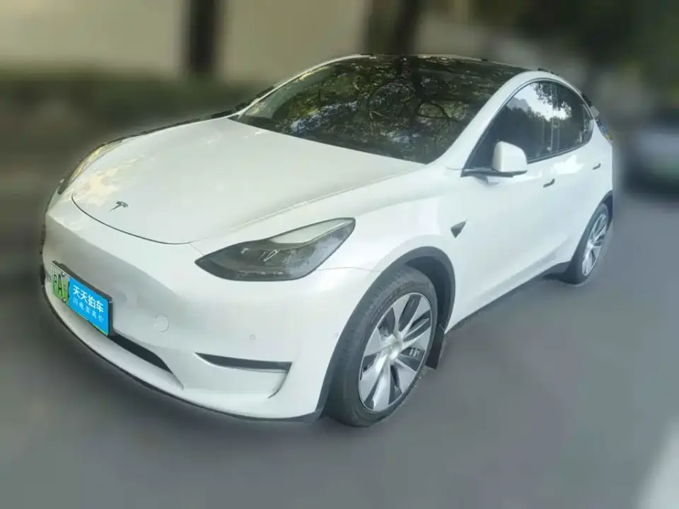 Tesla Model Y Standard Range Rear-Wheel Drive 2021