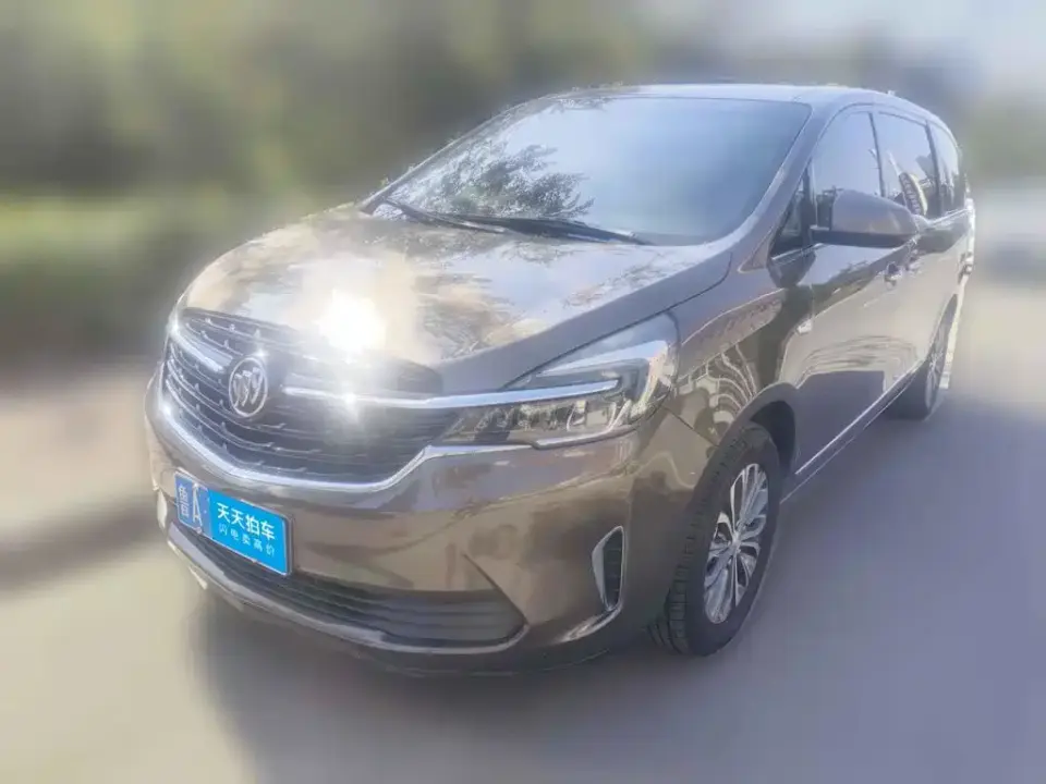 Buick GL8 Land Business Class 652T Luxury 2021