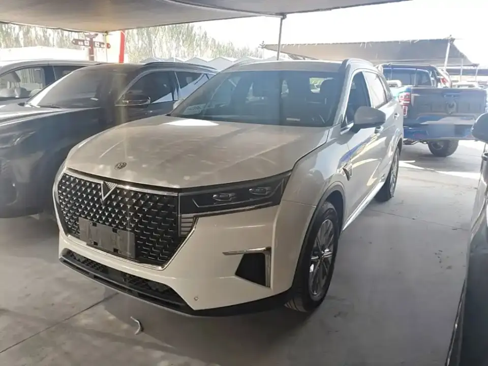 Venucia Star 260T Automatic 48V Mild Hybrid Turbo Star Enjoy Edition 2020