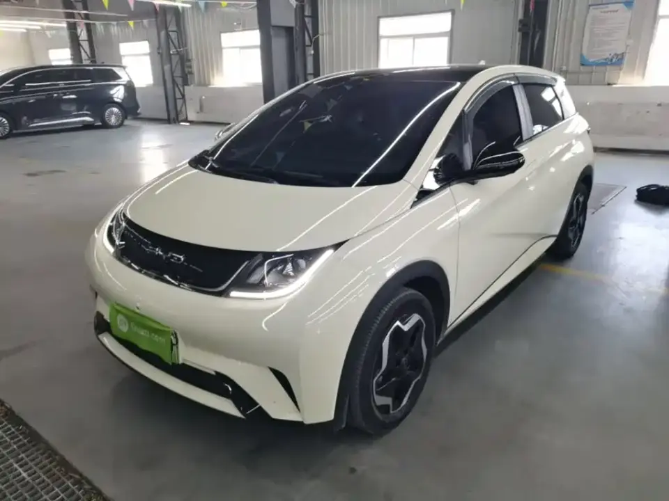 BYD Dolphin Model 405km Fashion Edition 2023