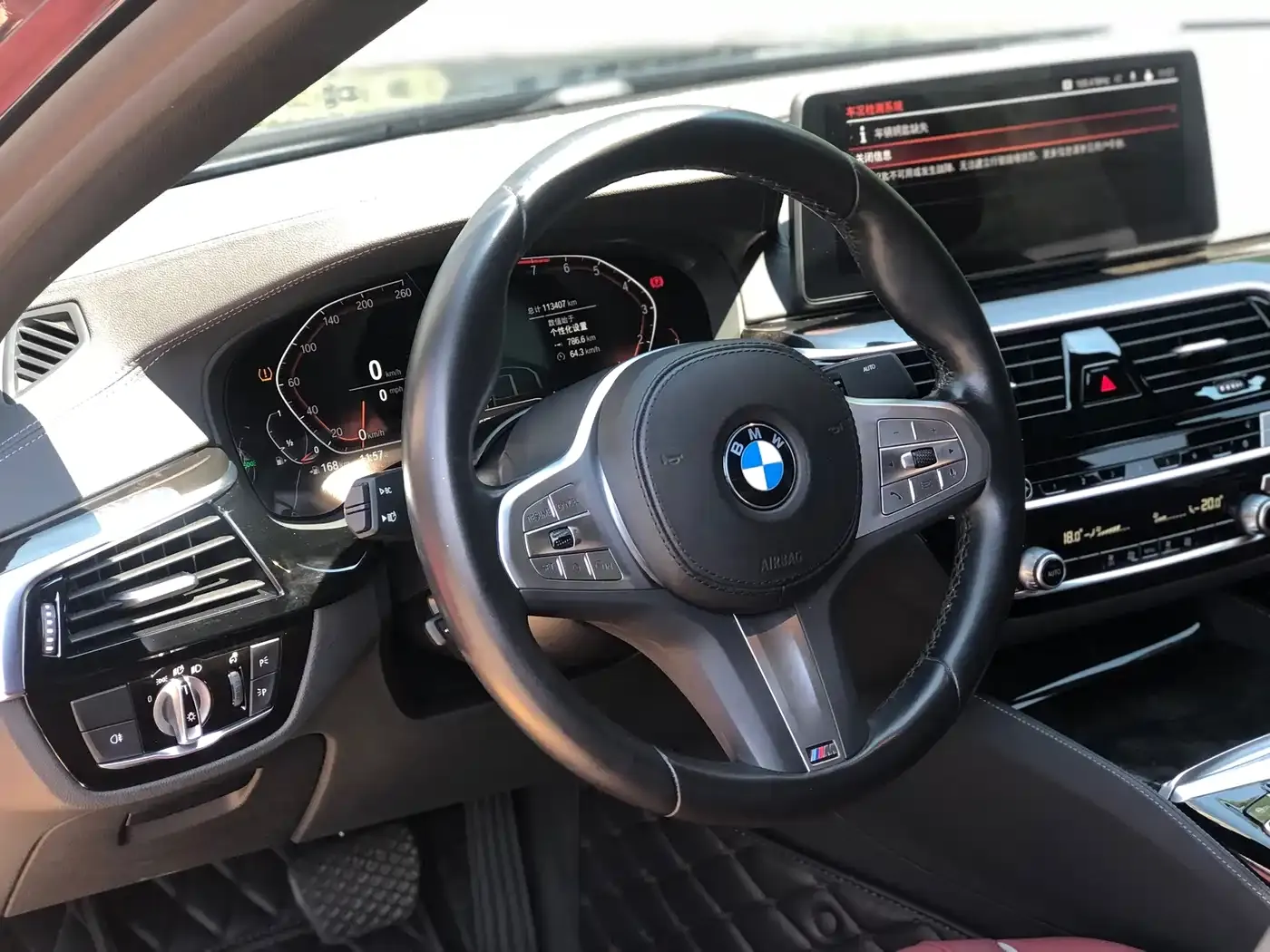 BMW 5 Series 525Li M Sport Package 2023 — фото 15