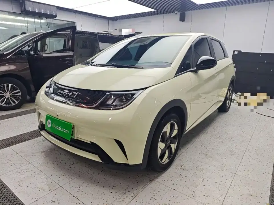 BYD Dolphin 420km Freedom Edition 2025