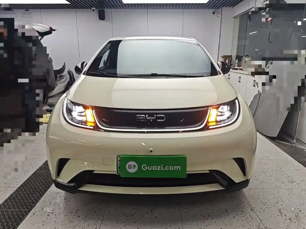 BYD Dolphin 420km Freedom Edition 2025 — фото 3